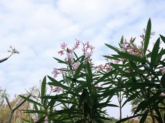-深圳隐秀山居酒店