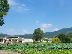 -呈坎景区