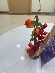 -上海伊莱美医疗美容医院