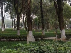 -重庆市江北嘴中央商务区中央公园