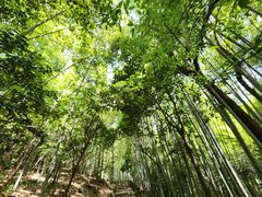 -敬亭山风景名胜区