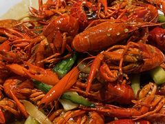 -杨氏青龙虾·羊蝎子(托乐嘉店)
