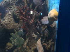 -多彩贵州城极地海洋世界