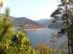 -广州市流溪河国家森林公园