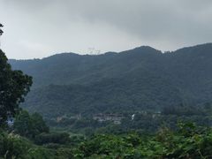 -白沙古井