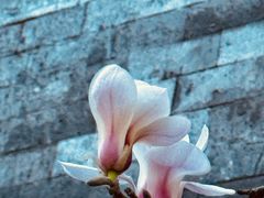 -东华门大街小区