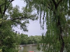 -北陵公园