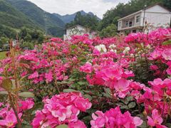 -镇坪县曙坪小学