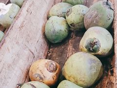 -椰夫人·养生椰子鸡(金沙洲永旺店)