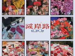 -溪岸路花鸟市场