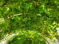 -张裕卡斯特酒庄