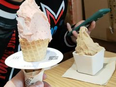 -野人先生现做冰淇淋(北京顺义祥云小镇店)