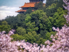 -东湖磨山景区