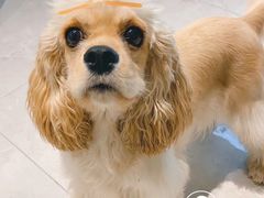 -萌宠主义宠物生活馆(金山路店)