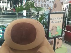 -凯德MALL(西直门店)