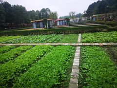 -洪湖家庭农场·团建·露营·会议