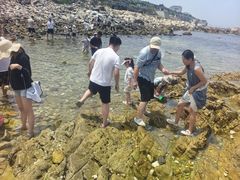 -养马岛旅游度假区