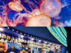 -上海海昌海洋公园
