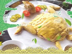 -食德喜·阳山鸡王食研基地
