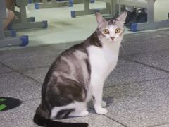 -谜盒子奇幻密室(南屏店)