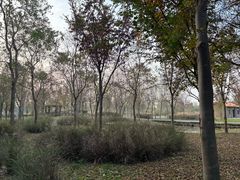 -溱湖国家湿地公园