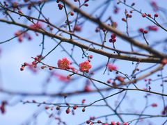 -花溪公园