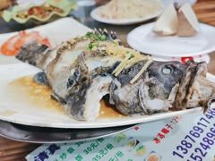 石斑鱼-四川人郑霞海鲜