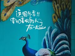 -云尊府云南菜·蒸汽石锅鱼(五棵松华熙店)