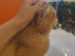 -平行世界·猫咖(首经贸店)