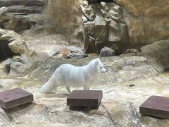 -香港海洋公园