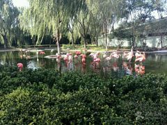 -石家庄市动物园