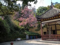 -缙云山景区
