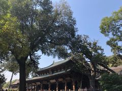 -晋祠公园