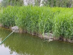 -西安浐灞国家湿地公园