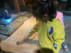 -酷嗒动物文化乐园(cutezoo西溪乐天城店)