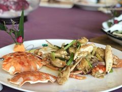 -欢乐海岸美食联盟