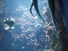 -海合安青岛极地海洋公园