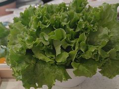 -韩香福烤肉庄园(荣成店)