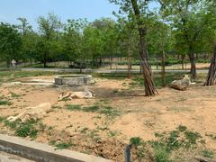 -秦皇岛野生动物园