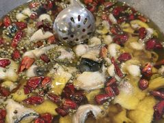 -蜀阳餐厅·金牌水煮鱼