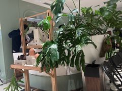 -一尺花园(安和花园店)