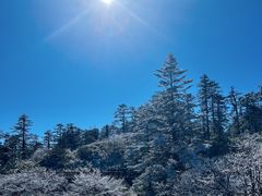 -瓦屋山景区