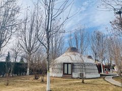 -九十九顶毡房(阜石路店)