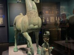 -广西壮族自治区博物馆