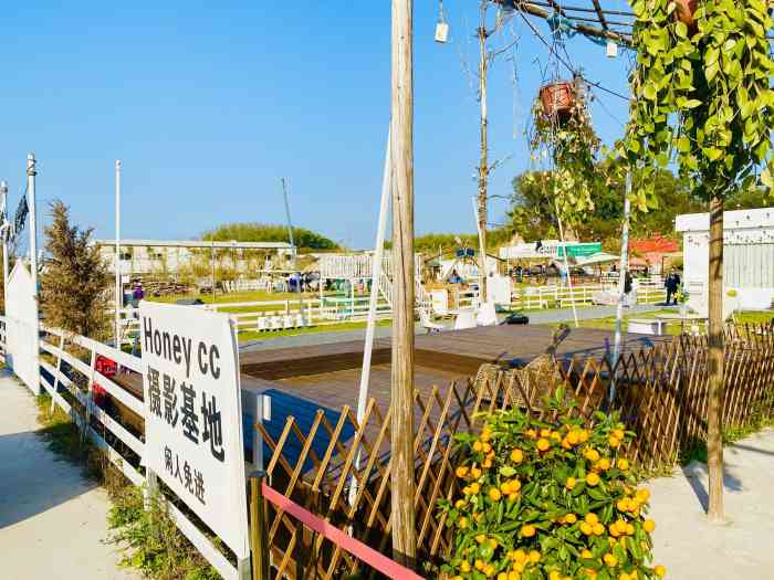 honey cc绵羊牧场摄影基地(番禺南村店)-"开车过来挺方便的门票50元