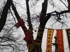 -大槐树寻根祭祖园