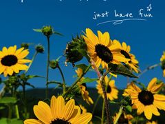 -德云社(三里屯店)