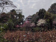 -成都杜甫草堂博物馆