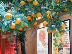 -杨氏橘红(前门大街店)