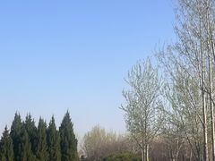 -汉长安城未央宫国家考古遗址公园